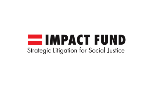 Impact fund - Opening Doors to Justice